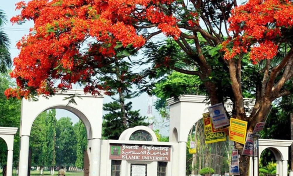 ইবির পাঠ্যসূচিতে স্থান পাচ্ছে জুলাই বিপ্লবের ইতিহাস