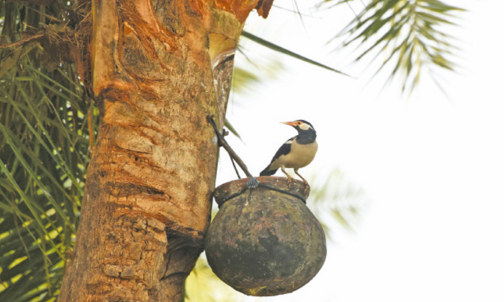 রসপ্রেমী