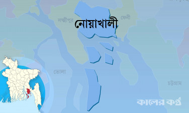 নোয়াখালীর বয়ারচরে ডাকাতদলের তাণ্ডব, ৮ জনকে কুপিয়ে জখম