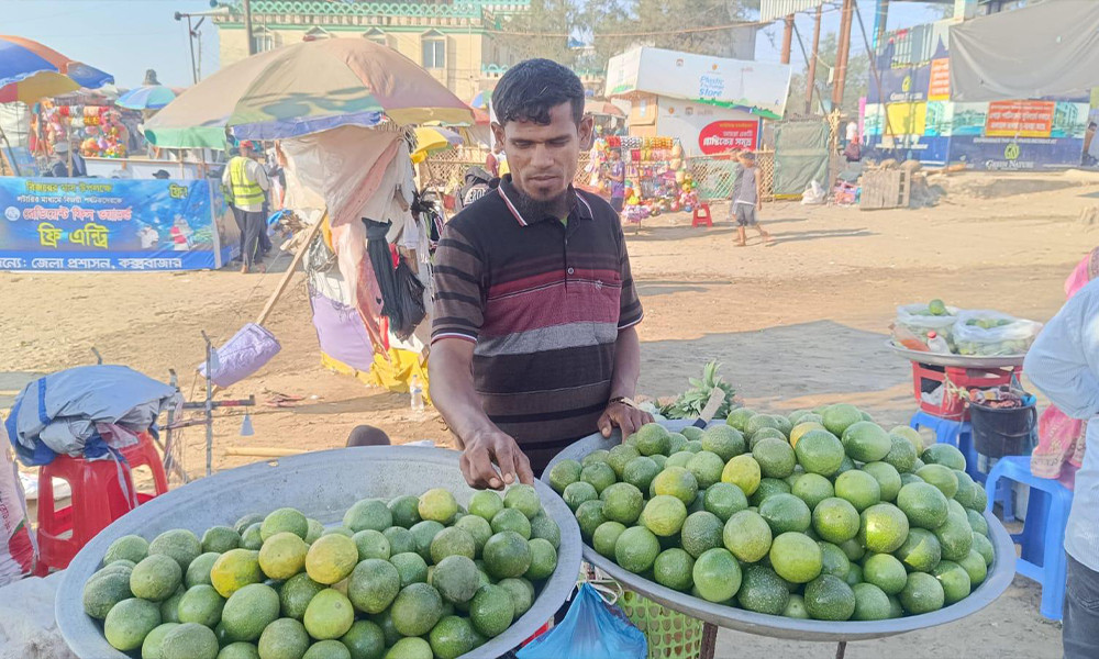 সাগর পাড়ে পর্যটকদের জনপ্রিয় ফল আনারকলি