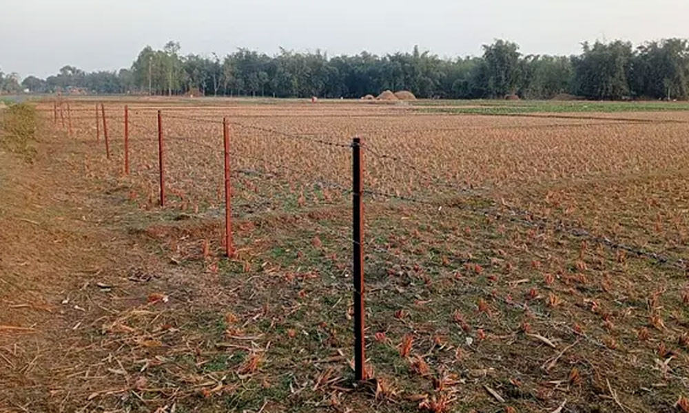 লালমনিরহাট সীমান্তে বিএসএফের বেড়া নির্মাণের চেষ্টা, বিজিবির বাধা