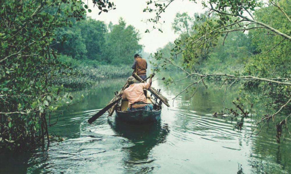 পর্দায় আসছে মরিচঝাঁপি গণহত্যার ঘটনা