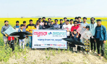 বসুন্ধরা শুভসংঘের উদ্যোগে আক্কেলপুরে ঘুড়ি উৎসব