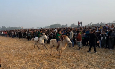 ঘোড়ার দৌড় প্রতিযোগিতা দেখতে মানুষের ভিড়