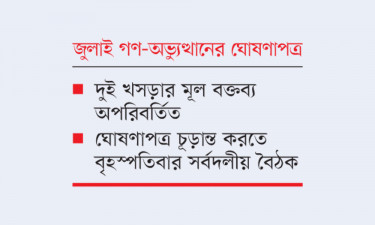 অন্তর্বর্তী সরকারের খসড়া প্রকাশ, সামান্য সংশোধন