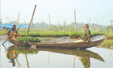 ঐতিহ্যবাহী ভাসমান সবজি চাষ