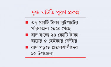 কৃষকদের ঋণের টাকার গাভি ফ্রি নিতে চেয়েছিলেন মন্ত্রী-এমপিরা
