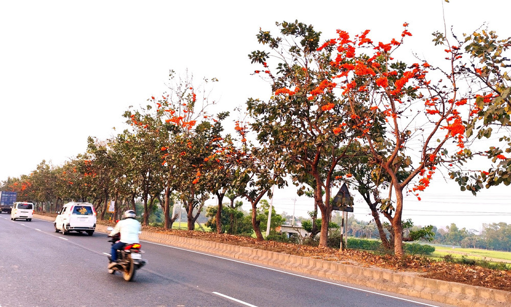 ফাগুনের আগুন রাঙা পলাশ