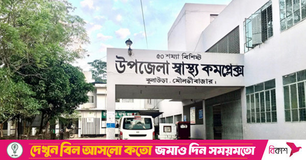 Tolkalina Konchalovskaya tomonidan yalangoch sevgi