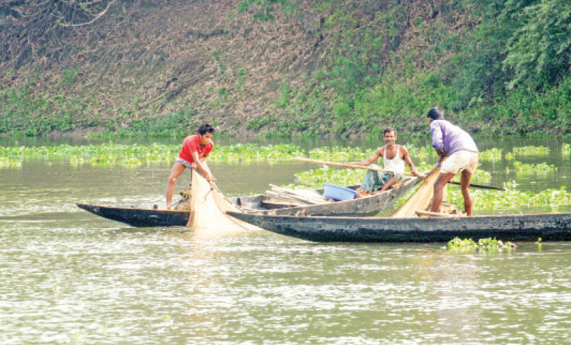 জেলে