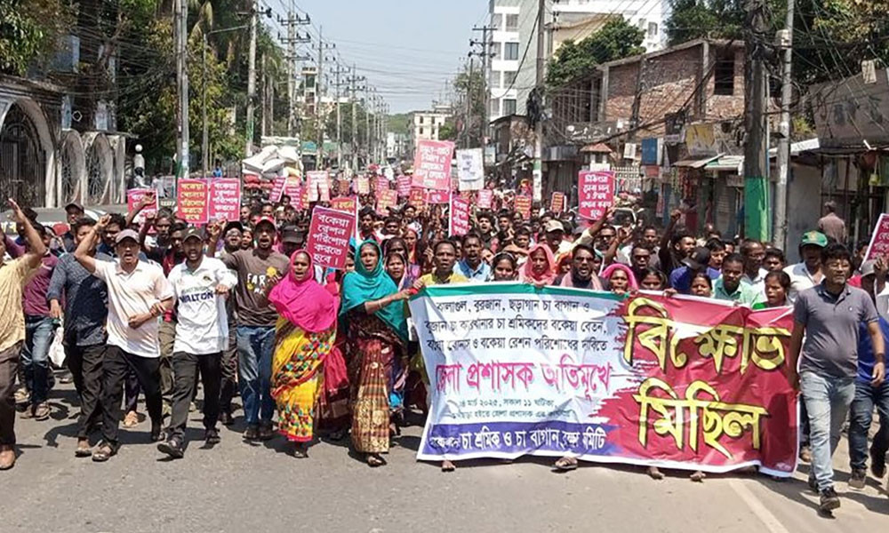 বকেয়া বেতনের দাবিতে সিলেটে চা শ্রমিকদের বিক্ষোভ