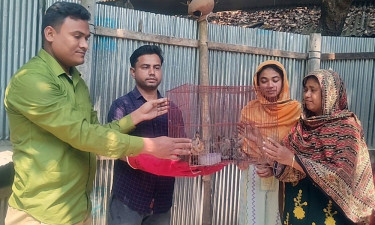 বাগাতিপাড়ায় বিলুপ্ত প্রজাতির বনবিড়াল উদ্ধার