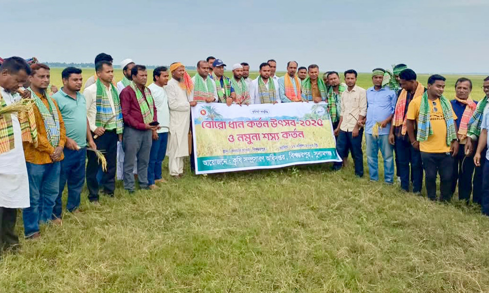 বিশ্বম্ভরপুরে বোরো ধান কাটার উৎসব শুরু