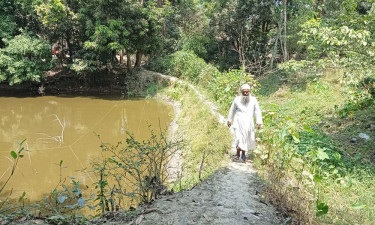 সড়ক না থাকায় দুর্ভোগে গ্রামবাসী