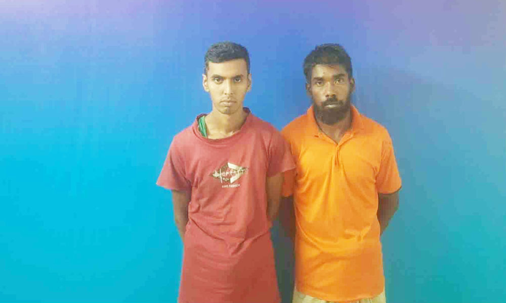 ঘাটাইলে ৩২ কেজি গাঁজাসহ আটক ২