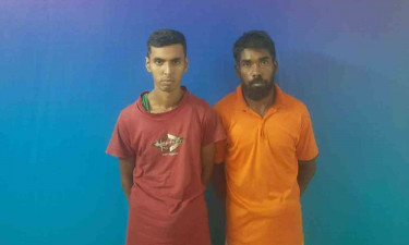 ঘাটাইলে ৩২ কেজি গাঁজাসহ আটক ২