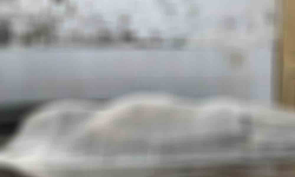 টঙ্গীতে ড্রাম ট্রাকের ধাক্কায় নিহত ১, চালক আটক