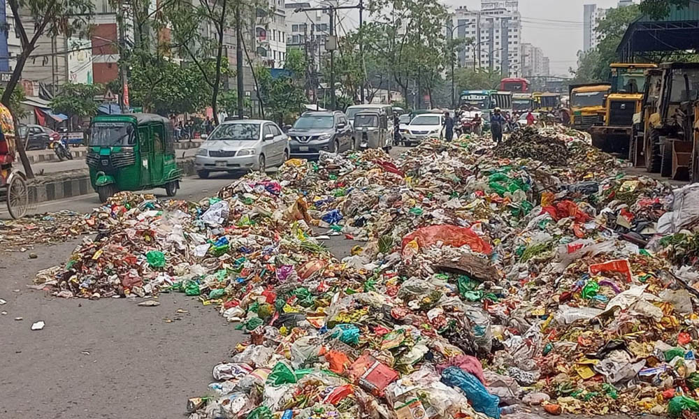 সড়কের অর্ধেকজুড়ে ময়লার ভাগাড় বানালেন পরিচ্ছন্নতাকর্মীরা