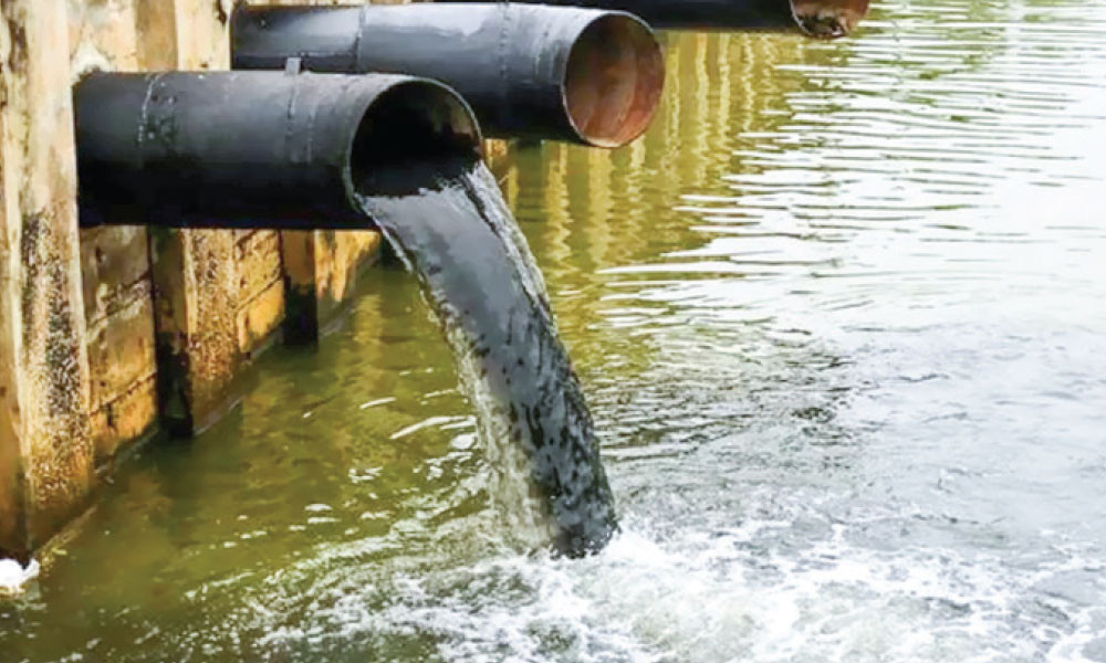 Bangladesh and World House: Chapter -based Question: Fifth grade