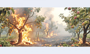 যে কারণে অন্যায়ের প্রতিবাদ করা গুরুত্বপূর্ণ