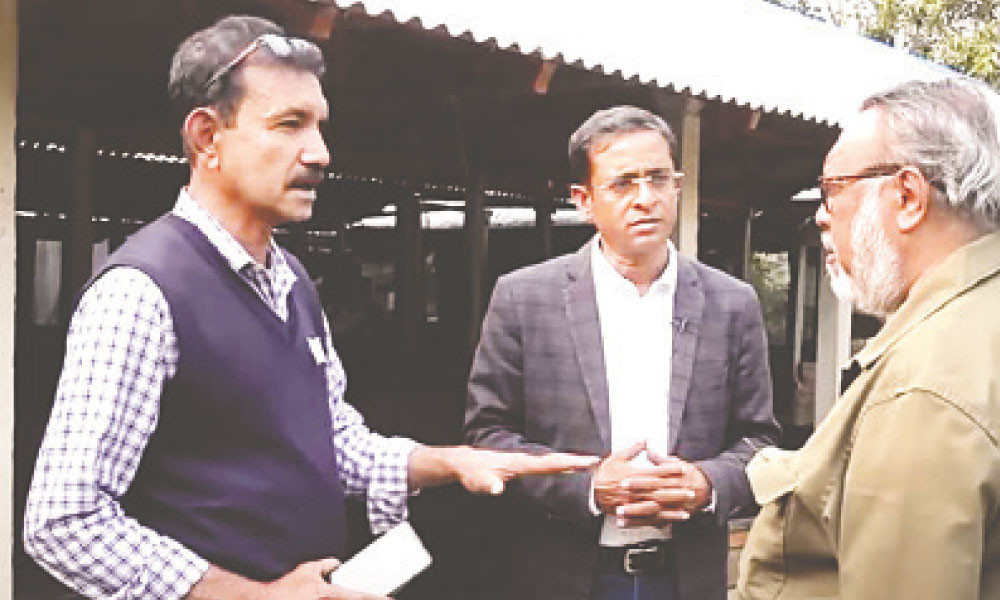 যশোরের মণিরামপুরে পরিবেশবান্ধব উদ্যোগ