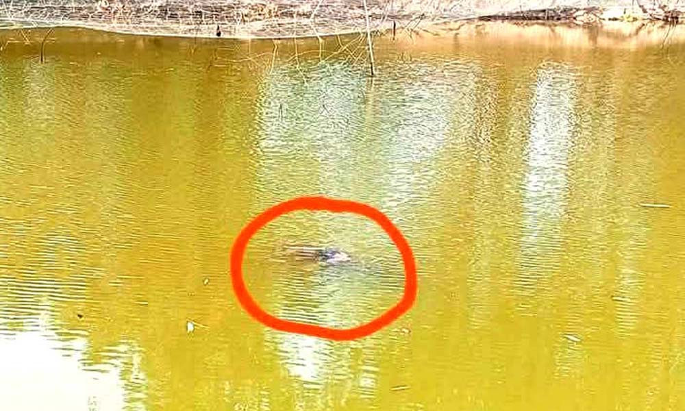 পুকুর থেকে যুবকের ভাসমান মরদেহ উদ্ধার