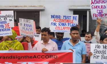 ক্ষতিপূরণ বুঝে পাইনি, মাথা-গলার রগে খুব ব্যথা (ভিডিওসহ)