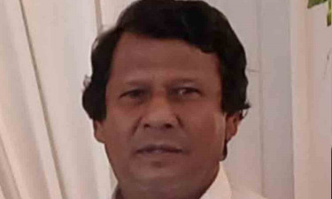 সরকারি গাছ আত্মসাতের অভিযোগে ইউপি চেয়ারম্যান বরখাস্ত