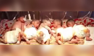 একসঙ্গে ৫ সন্তানের জন্ম দিলেন ছাগলনাইয়ার রিক্তা