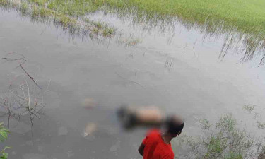 মোরেলগঞ্জে মুখমণ্ডলে স্কচটেপ প্যাঁচানো যুবকের মরদেহ উদ্ধার