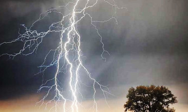বজ্রাঘাতে পাঁচ জেলায় ১০ জনের প্রাণহানি