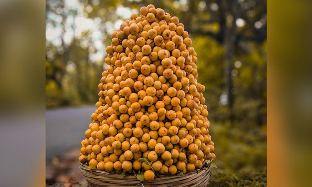 Men quvnoqlarga josuslik qildim Demi Mur yalangoch video onlayn
