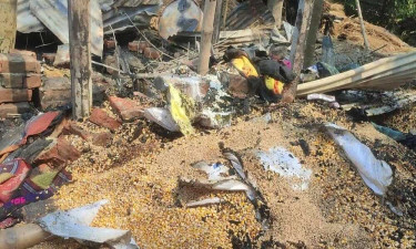 আগুনে পুড়ল ঘরবাড়িসহ ৯ ছাগল, দগ্ধ দম্পতি