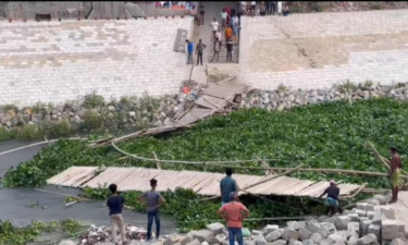 মির্জাপুরে কচুরিপানার চাপে ভেঙে গেল বাঁশের সাঁকো, পারাপারে দুর্ভোগ