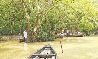 দেশেও রয়েছে আমাজন (ভিডিওসহ)