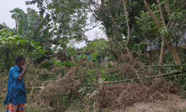 চোরের অপবাদ দিয়ে বাড়ির রাস্তায় বেড়া, অবরুদ্ধ ৩ পরিবার