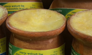 আড়াই শ বছরের ঐতিহ্য বগুড়ার দই (ভিডিওসহ)