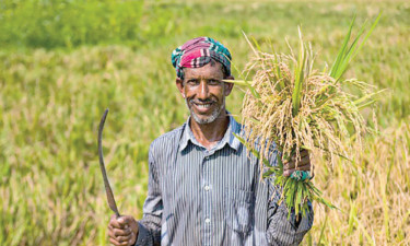 কৃষক সুরক্ষায় প্রয়োজন শস্য বীমা