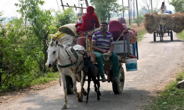 হামলার ভয়ে সীমান্তবর্তী গ্রামবাসী ঘরবাড়ি ছেড়ে পালাচ্ছেন‍