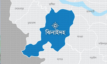 সাপের কামড়ে প্রাণ গেল সাপুড়ের