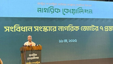 নতুন সংবিধান প্রণয়নে অনেক সময় লাগবে : আসিফ নজরুল