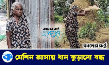 চিটা থেকে ধান কুড়িয়ে চলে ষাটোর্ধ্ব রহিমার জীবন (ভিডিওসহ)