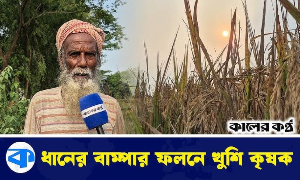 বোরো ধানের বাম্পার ফলনে কৃষকের চোখেমুখে হাসির ঝিলিক (ভিডিওসহ)