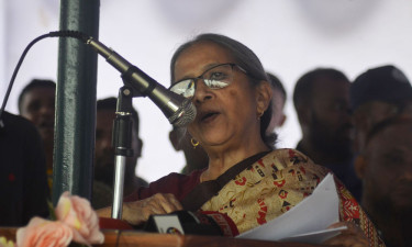 মাছ ধরার নিষিদ্ধ উপকরণ বন্ধে আইন প্রয়োগ করা হবে : মৎস্য উপদেষ্টা
