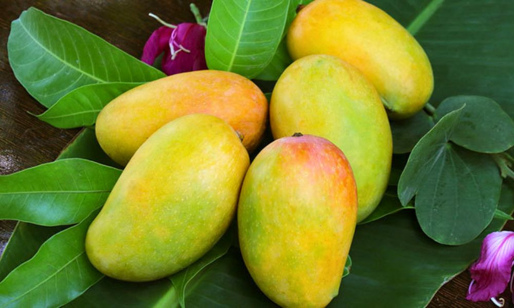 আম কেমিক্যালমুক্ত কি না, বুঝবেন যেভাবে