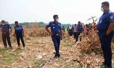 চুয়াডাঙ্গায় ভুট্টাক্ষেত থেকে নিখোঁজ যুবকের মরদেহ উদ্ধার