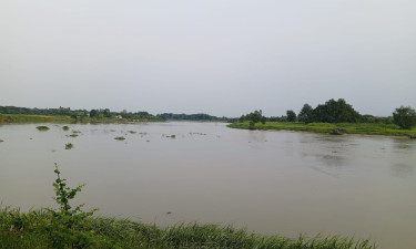 দাবদাহ থেকে মুক্তি নয়, অন্য যে কারণে হালদাপারে অপেক্ষা বৃষ্টির
