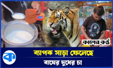 বাঘের দুধের চা খেতে ভিড় বাড়ছে ক্যাম্পাসে (ভিডিওসহ)