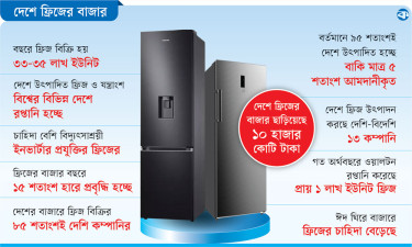 ফ্রিজে দেশি ব্র্যান্ডের আধিপত্য