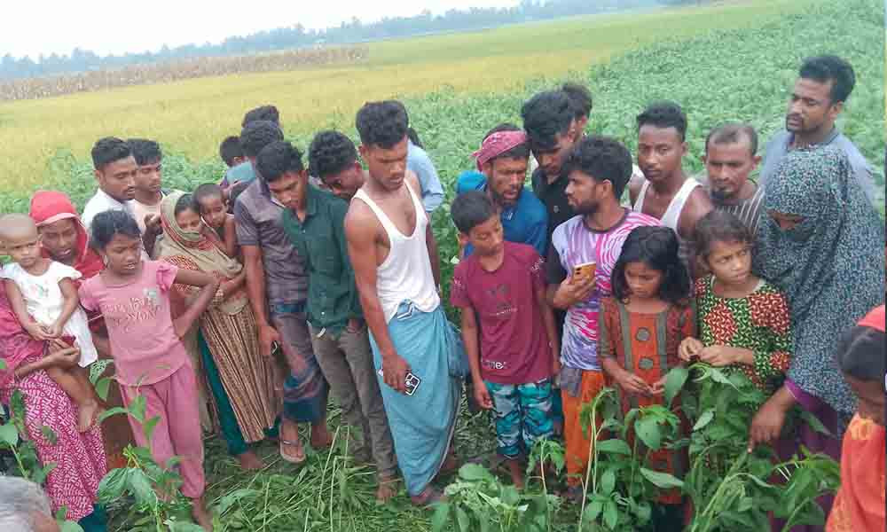 বকশীগঞ্জে পাটক্ষেতে পড়ে ছিল অজ্ঞাত নারীর মরদেহ
